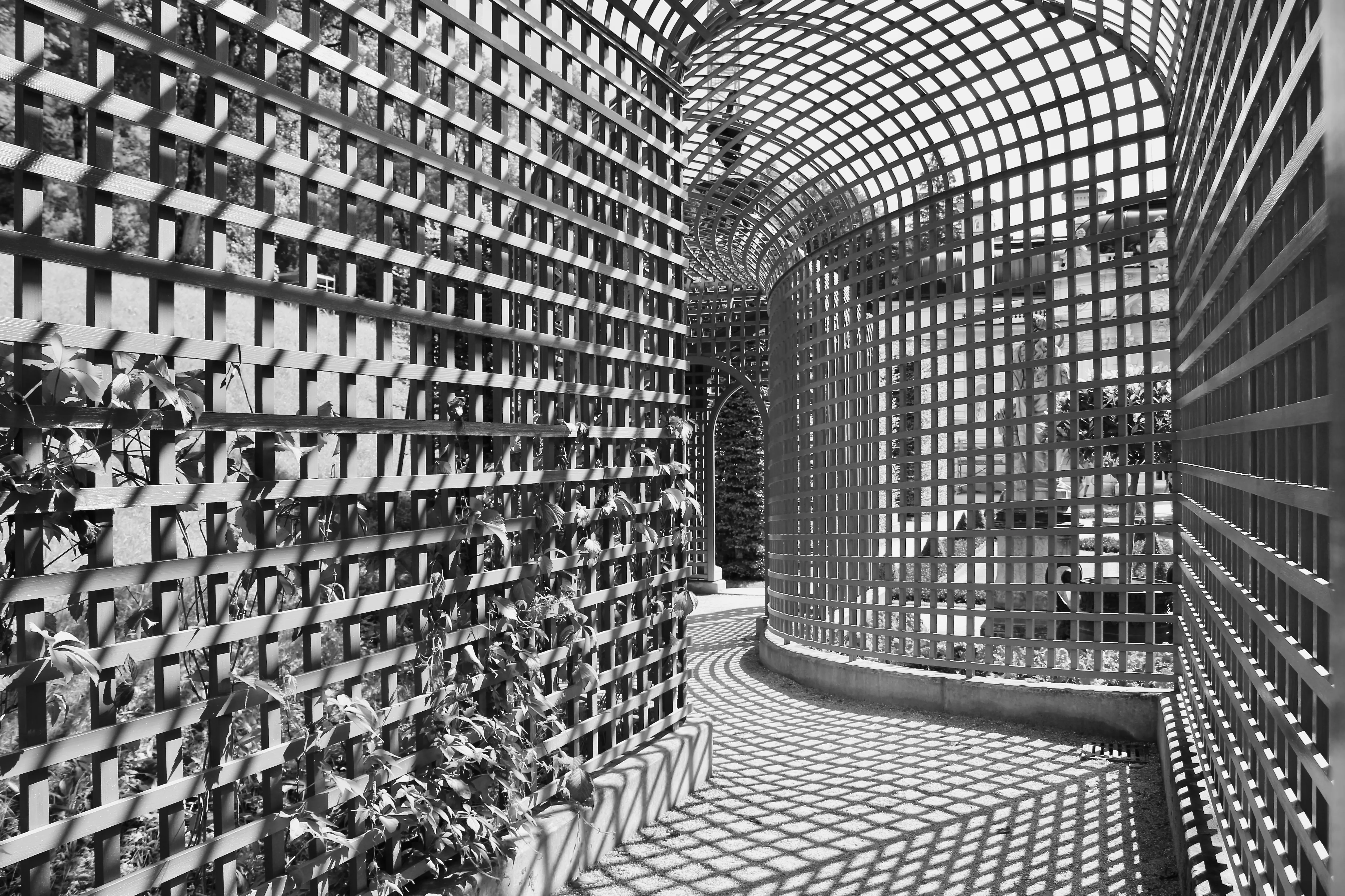 Fotografia di Calogero Gebbia